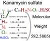 Kanamycin Sulfate [C18H36N4O11.H2SO4] Molecular Weight Calculation