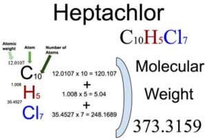 Heptachlor [C10H5Cl7] Molecular Weight Calculation