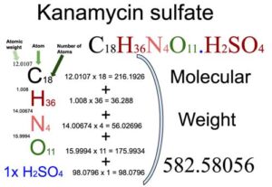 Kanamycin Sulfate [C18H36N4O11.H2SO4] Molecular Weight Calculation