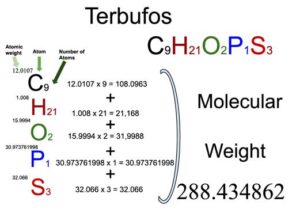 Terbufos (C9H21O2PS3) Molecular Weight Calculation
