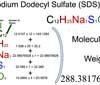 Sodium dodecyl sulfate (SDS) (C12H25NaSO4) Molecular Weight Calculation