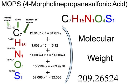 MOPS (4-Morpholinepropanesulfonic Acid) [C7H15NO4S] Molecular Weight ...