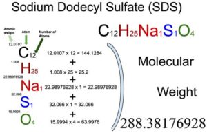 Sodium dodecyl sulfate (SDS) (C12H25NaSO4) Molecular Weight Calculation