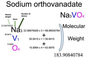 Sodium orthovanadate (Na3VO4) Molecular Weight Calculation