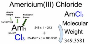 Americium(III) Chloride [AmCl3] Molecular Weight Calculation