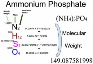 Ammonium Phosphate [(NH4)3PO4] Molecular Weight Calculation