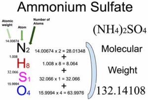 Ammonium Sulfate [(NH4)2SO4] Molecular Weight Calculation