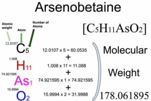 Arsenobetaine [C5H11AsO2] Molecular Weight Calculation