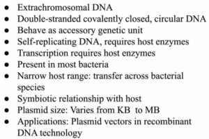 Plasmid Overview