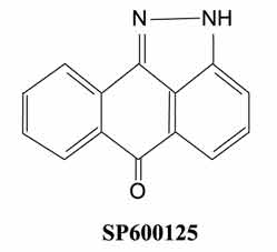 Molecular structure of SP600125