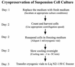 Protocol: Cryopreservation of suspension cell culture